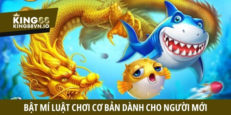 Bật mí luật chơi cơ bản dành cho người mới