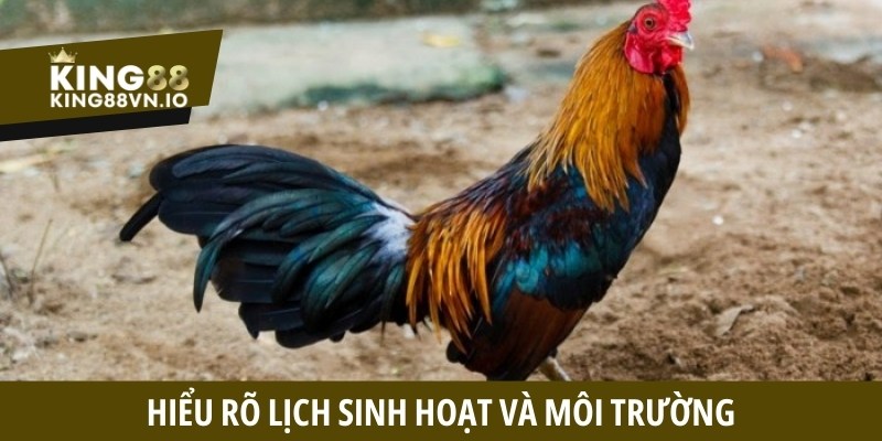 Hiểu rõ lịch sinh hoạt và môi trường