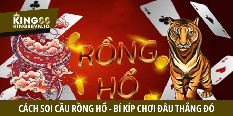 Cách soi cầu Rồng Hổ - Bí kíp chơi bất bại từ chuyên gia