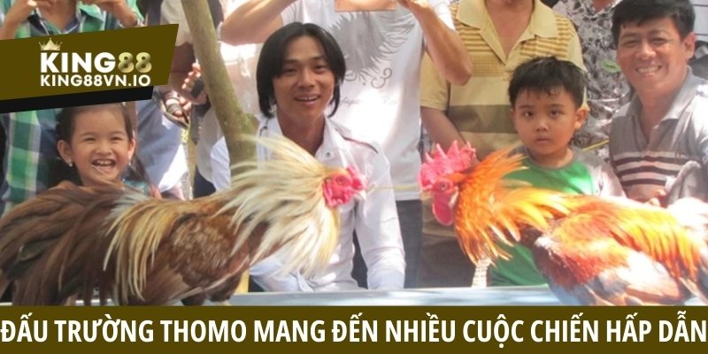 Đấu trường Thomo luôn mang đến rất nhiều cuộc chiến hấp dẫn