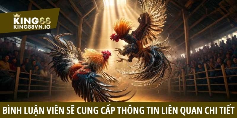Bình luận viên sẽ cung cấp những thông tin liên quan chi tiết