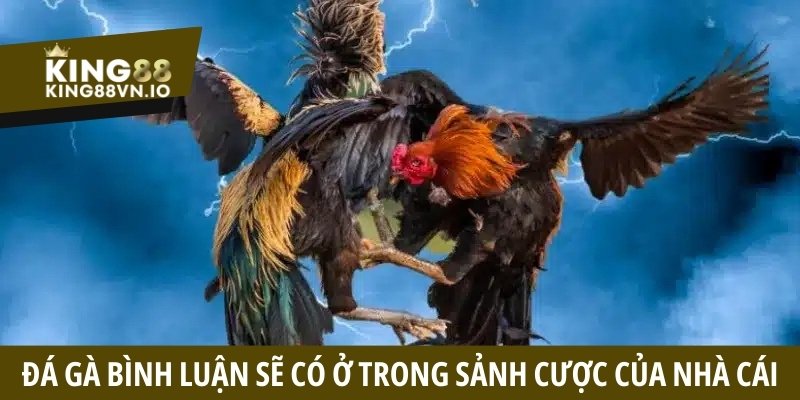 Đá gà bình luận sẽ có ở trong sảnh cược của nhà cái
