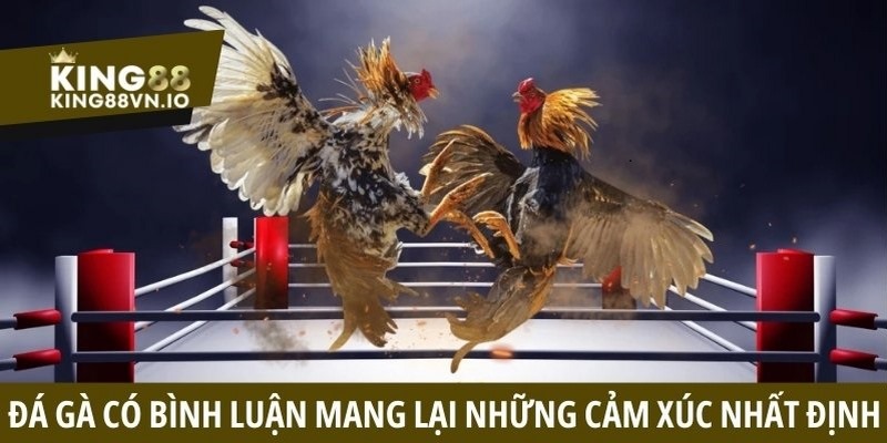 Đá gà có bình luận luôn mang lại những cảm xúc nhất định