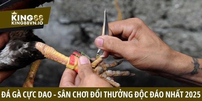 Đá Gà Cựa Dao - Hình Thức Thi Đấu Độc Đáo Hàng Đầu King88