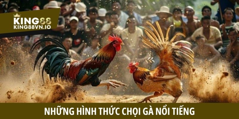 Những hình thức chọi gà nổi tiếng