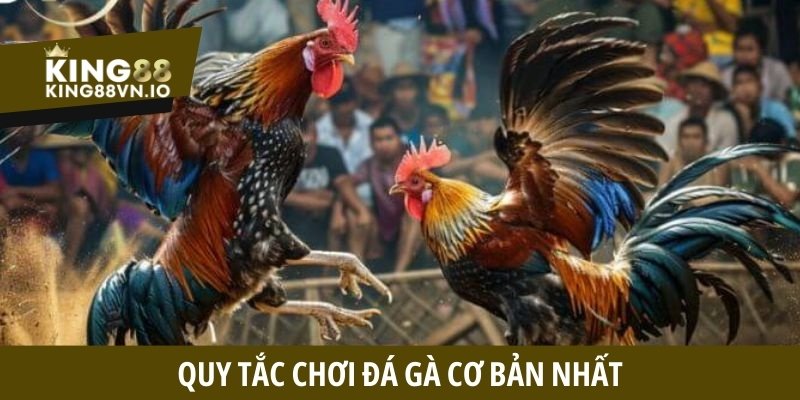 Quy tắc chơi đá gà cơ bản nhất