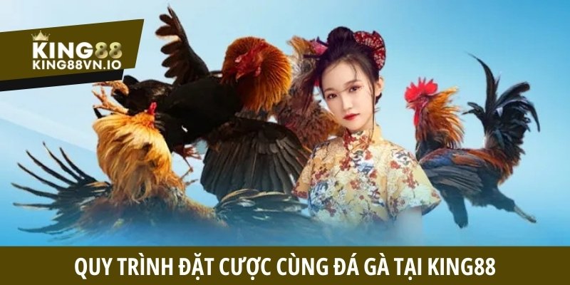 Quy trình đặt cược cùng đá gà tại King88