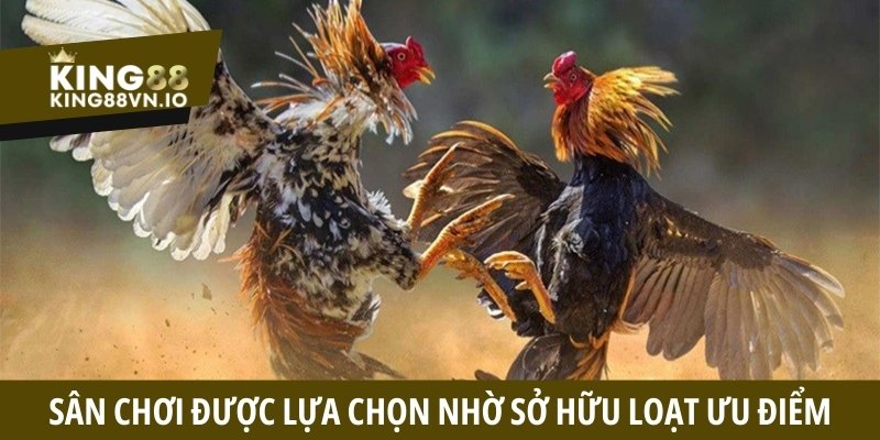 Sân chơi được lựa chọn nhờ sở hữu loạt ưu điểm