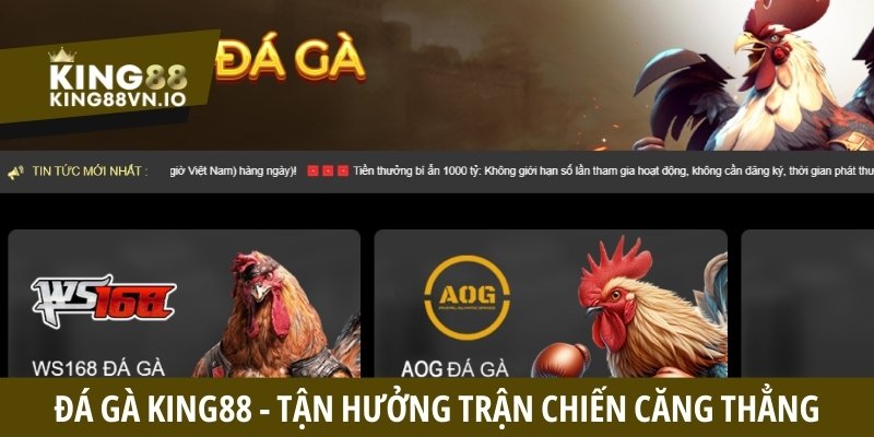 Những điều cần biết về chuyên mục đá gà King88