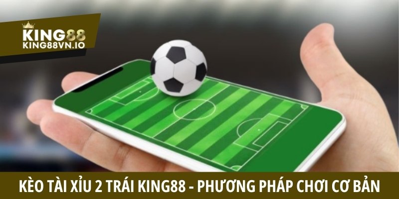 Kèo tài xỉu 2 trái là gì? Quy tắc và cách chơi bất bại