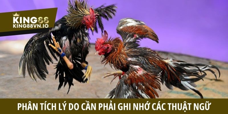 Phân tích lý do cần phải ghi nhớ các thuật ngữ