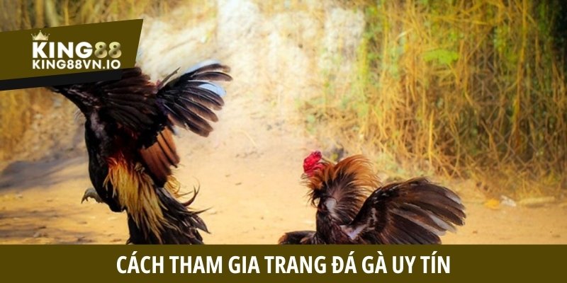 Trang đá gà uy tín sẽ cung cấp rất nhiều phương thức thanh toán
